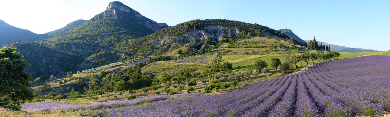 Parc Naturel de baronnies provençales